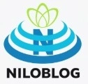 حقایقی جالب راجب سریال دوبونگ سون